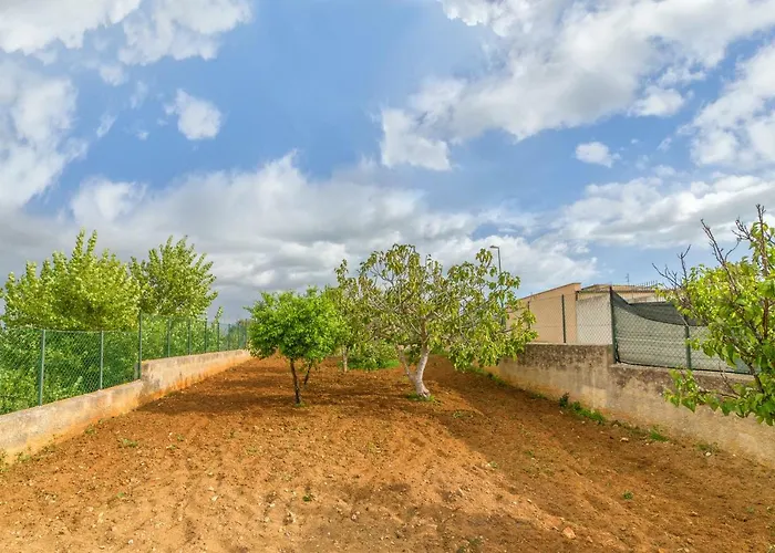 Selinunte's * 马里内拉